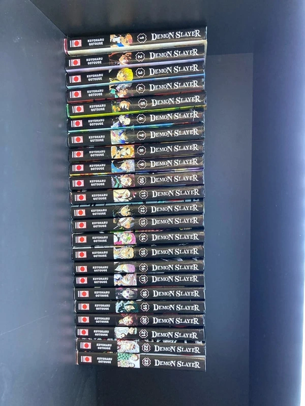 Série complète Démon slayer