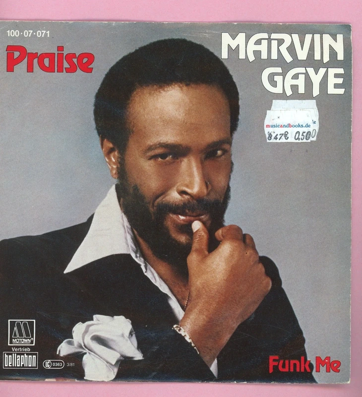 7 Vinyl Marvin Gaye * Praise