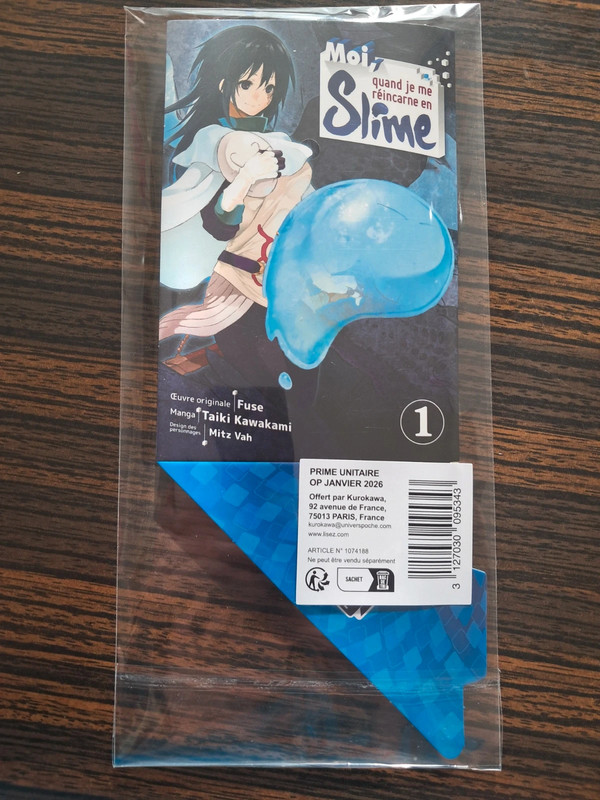 Figurine acrylique
