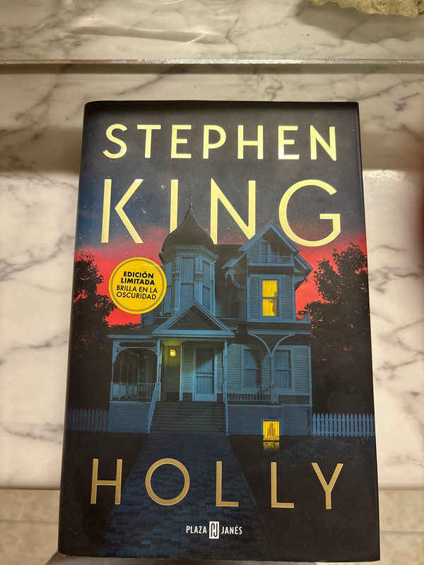 Libro stephen King holly