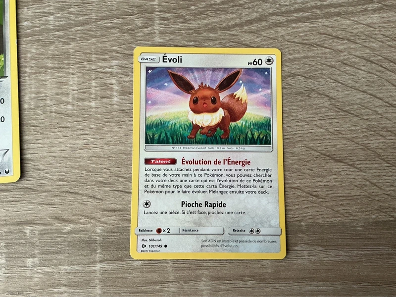 Evoli 101/149