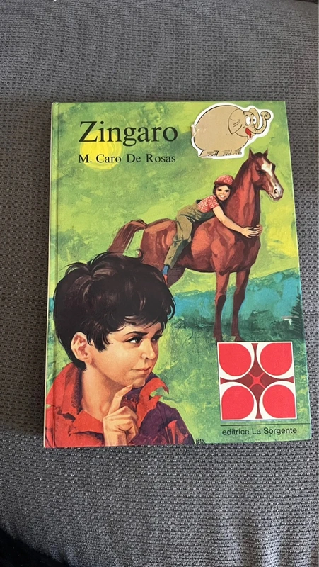 Zingaro di M. Caro De Rosas - Editrice La Sorgente - collana per ragazzi.