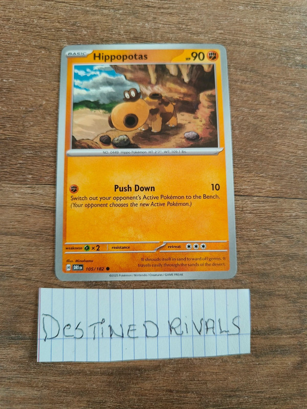 Destined rivals hippopotas