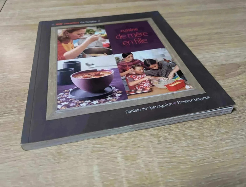 Livre de cuisine de mère en fille 100 recettes de famille éditions France loisirs