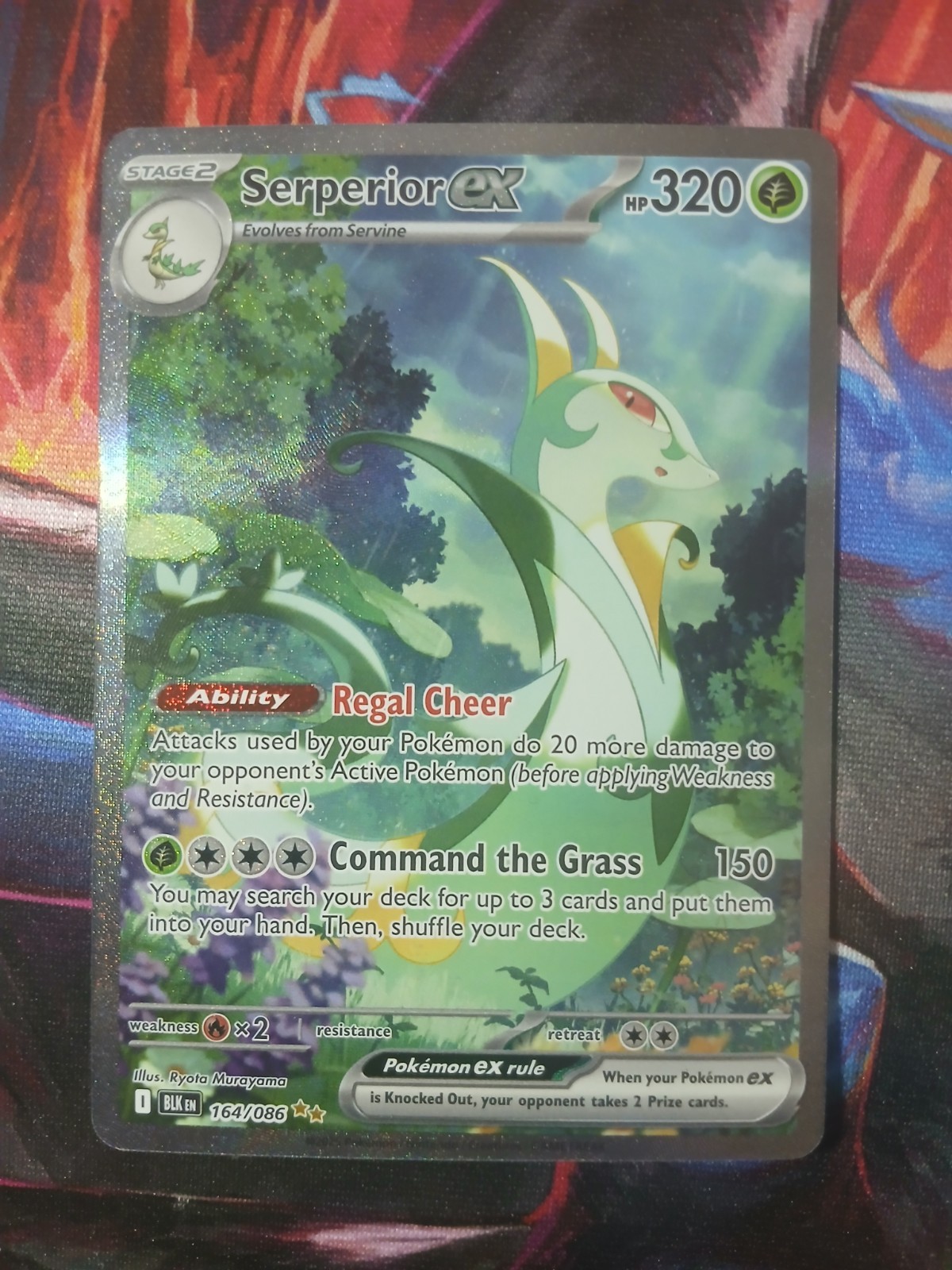 Serperior ex - 164/086 Black Bolt Holo Illustrazione Speciale Pokemon - NM