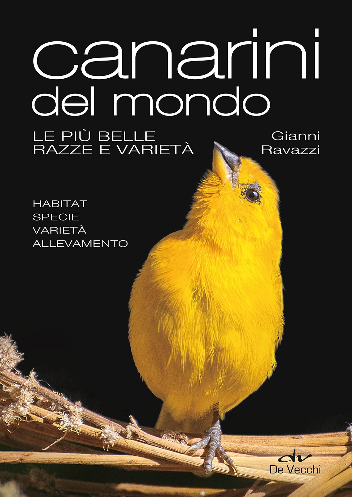 Canarini del mondo: Le più belle razze e varietà - Animali domestici Tempo liber