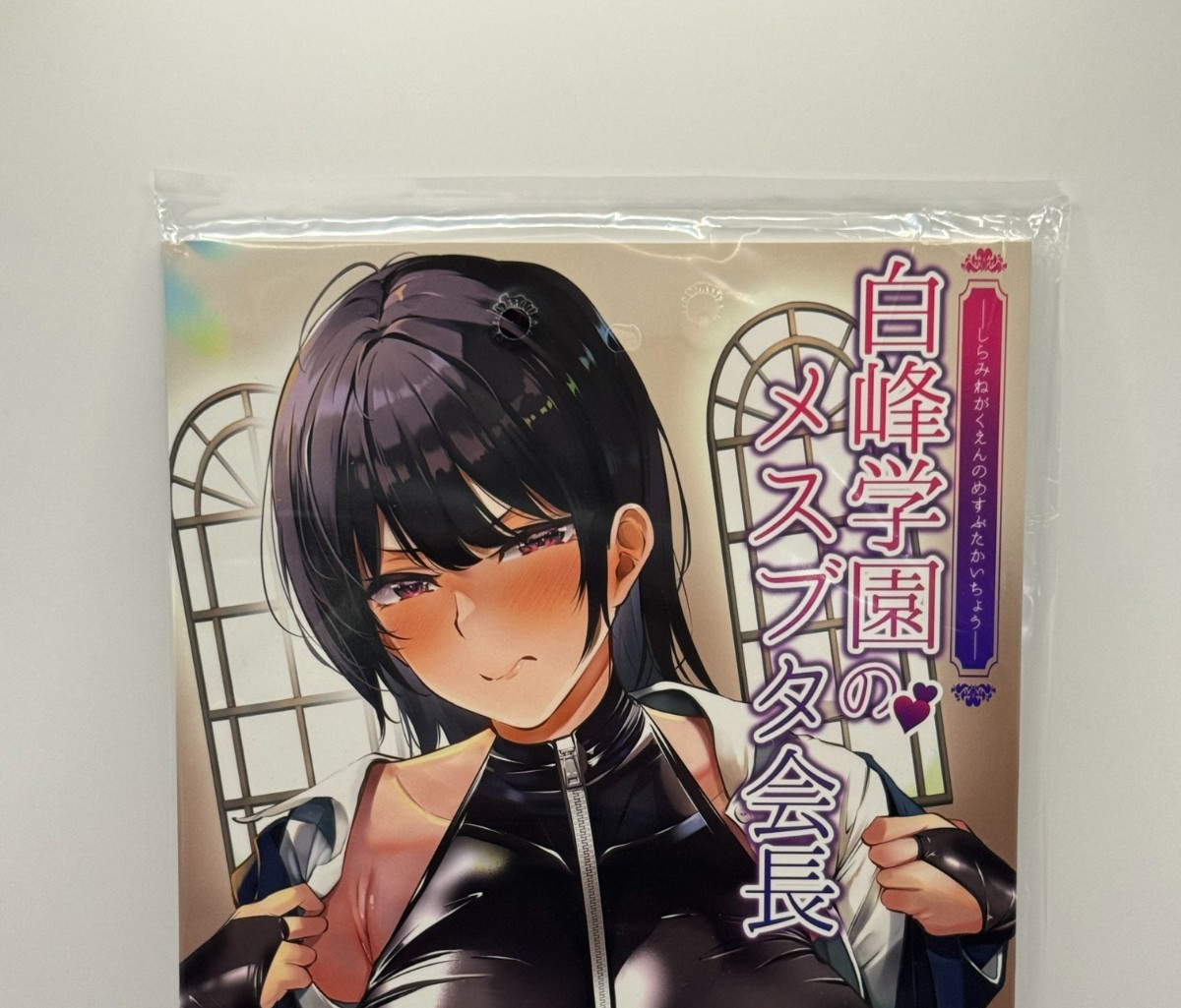Doujinshi / Illustrazione Giappone