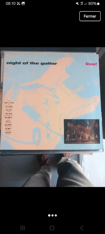 Vinyle night of the guitar
