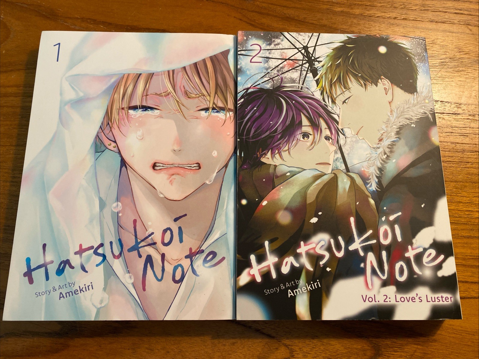 Hatsukoi Note manga copertina morbida (inglese) vol 1-2 set Amekiri Seven Seas