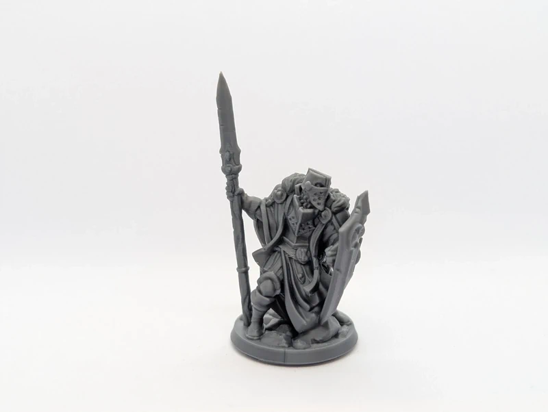 Miniatura Paladino con Lancia, per D&D e HeroQuest, stampa 3D da dipingere