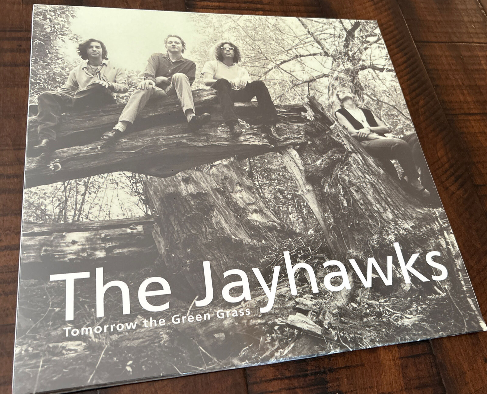 The Jayhawks TOMORROW THE GREEN GRASS Rare 2014 Vinyl NEW Factory SEALED!