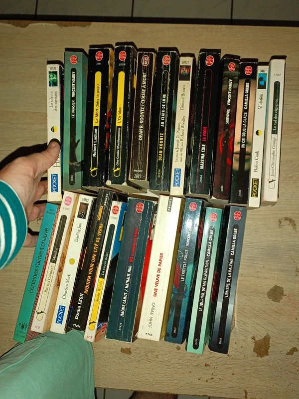Lot de 22 policier et thriller format poche