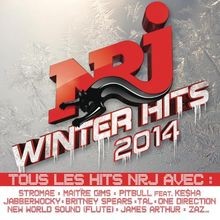 Nrj Winter Hits 2014 von Various Artists | CD | Zustand sehr gut