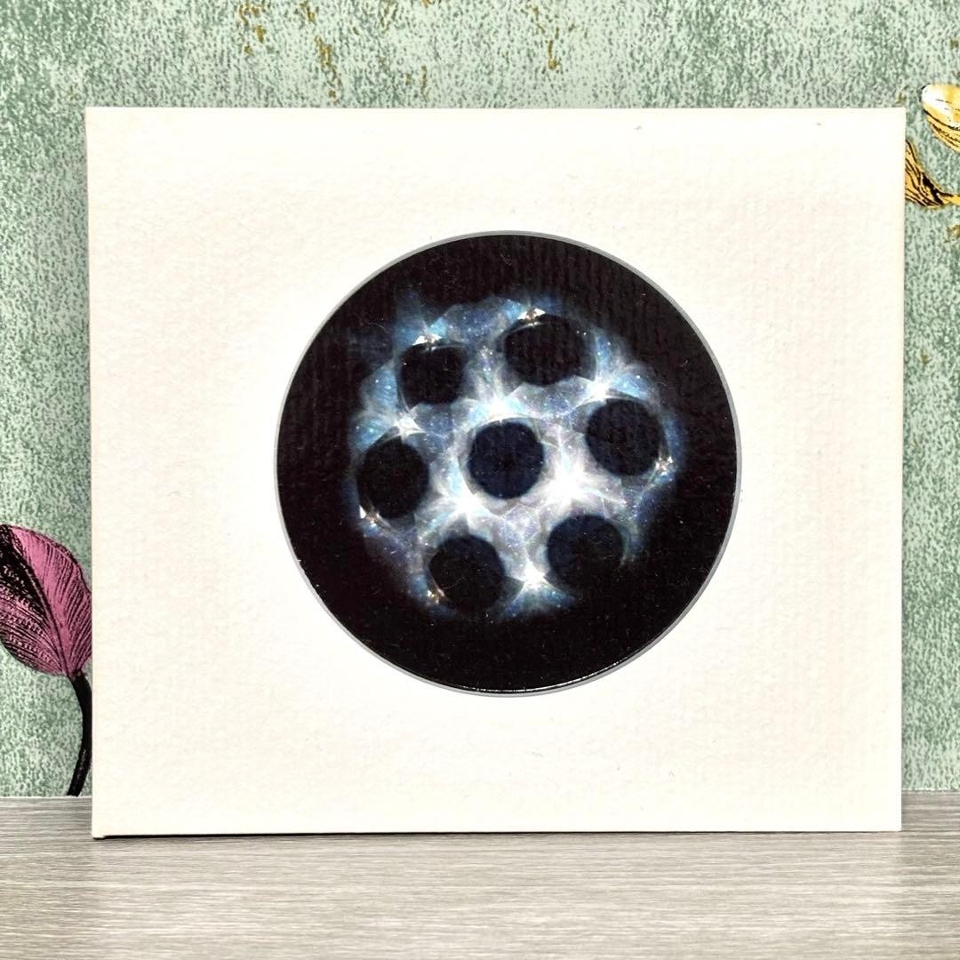 FOVER HEX "BLOOM" Irish Ambient Folk