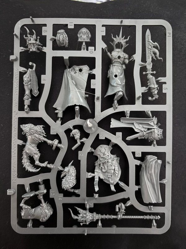 Warhammer Matriz Lord-Veritant Stormcast Grappe Lord-Veritant Skaventide + Socles sin caja