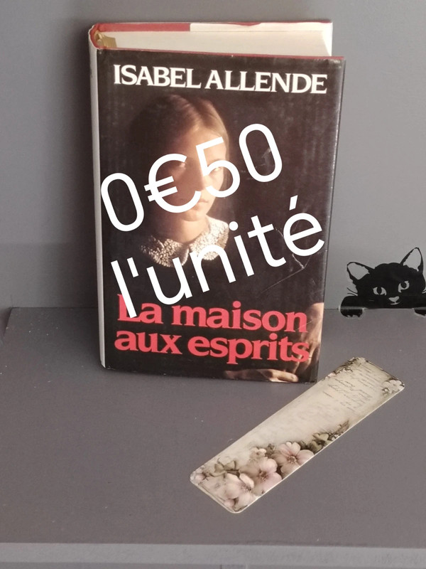 Isabel Allende La maison aux esprits