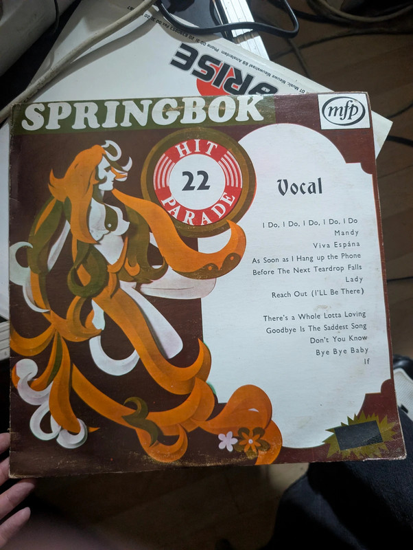 Vinil Springbok