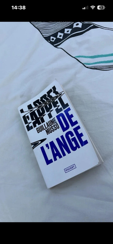 Livre l’appel de l’ange de Guillaume Musso