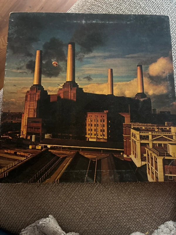 Vinile pink cloud