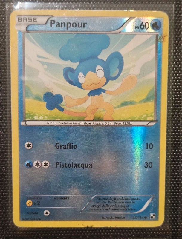 Panpour 33/114 holo