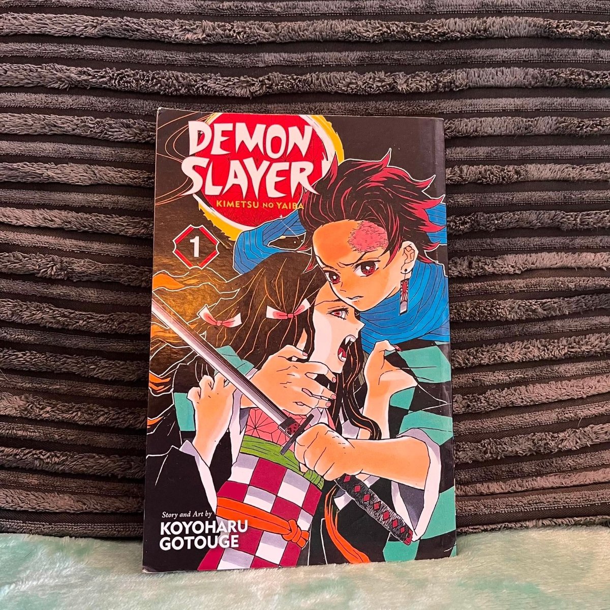 Demon Slayer Vol 1 English 