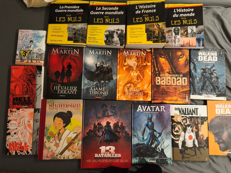 Lot de livres