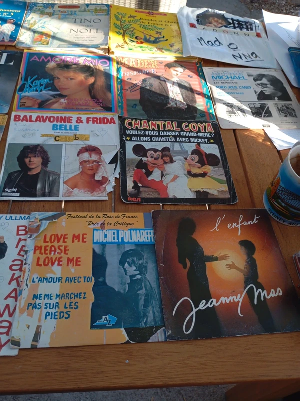 Vend lot 17 Vynils