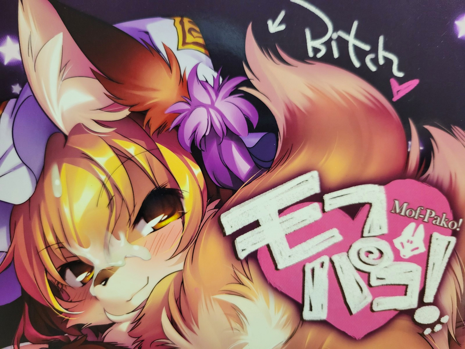Touhou Project Furry Kemono Doujinshi - Mof-Pako! di Ikuta Takanon 16 pagine B5