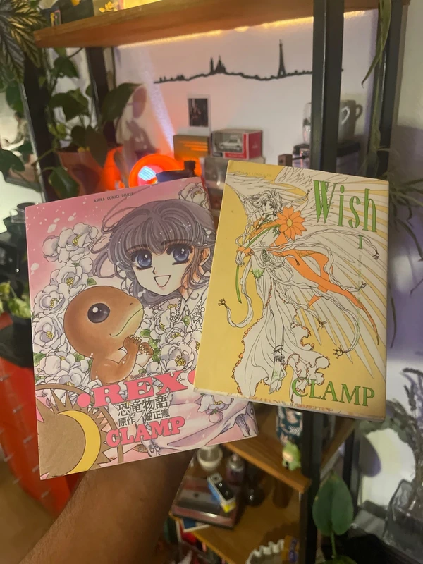 2 Mangas CLAMP en VO Japonaise