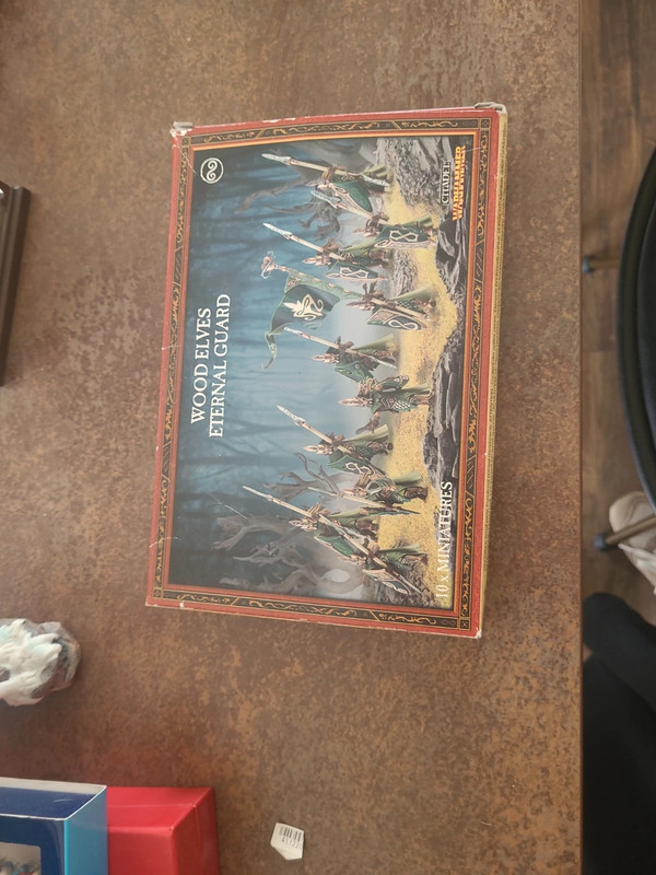 10x miniatures wood elves éternel guard