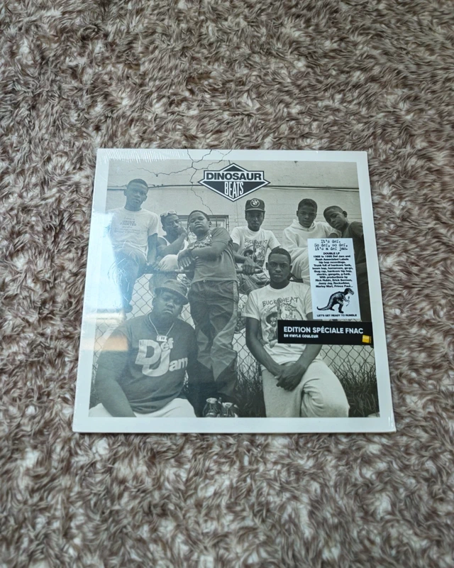 Vinyle dinosaur Beats