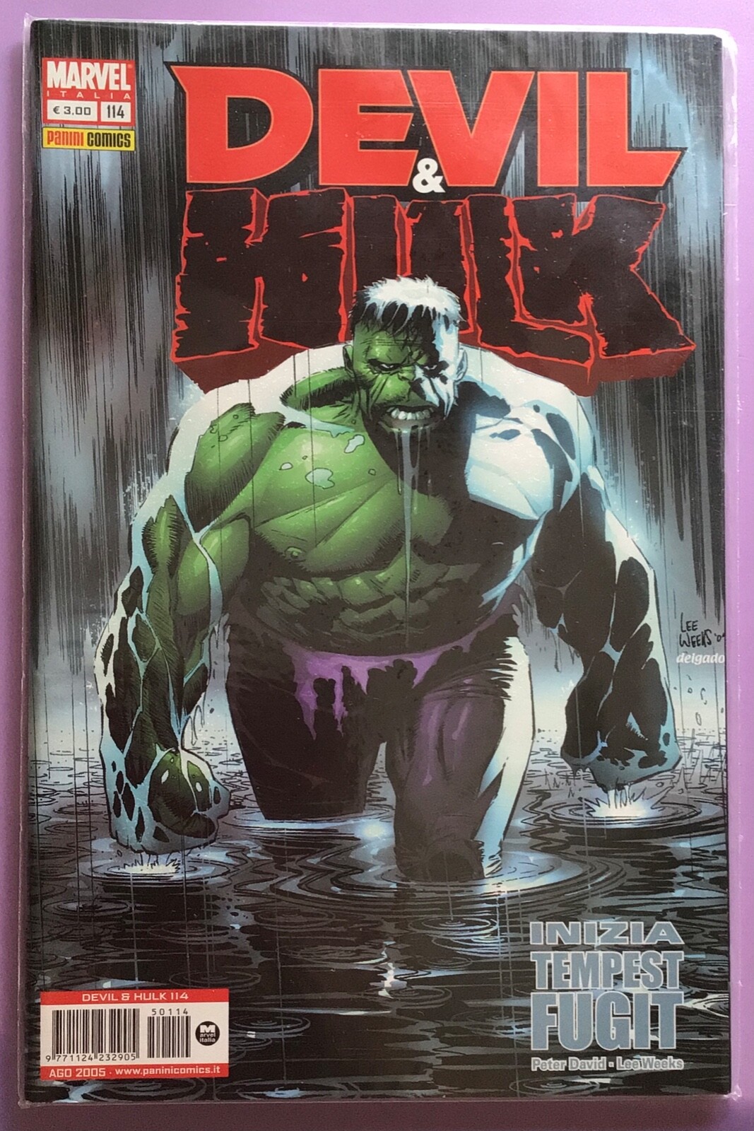 FUMETTO MARVEL, DEVIL & HULK N. 114 ANNO 2005 -RIF. 9990