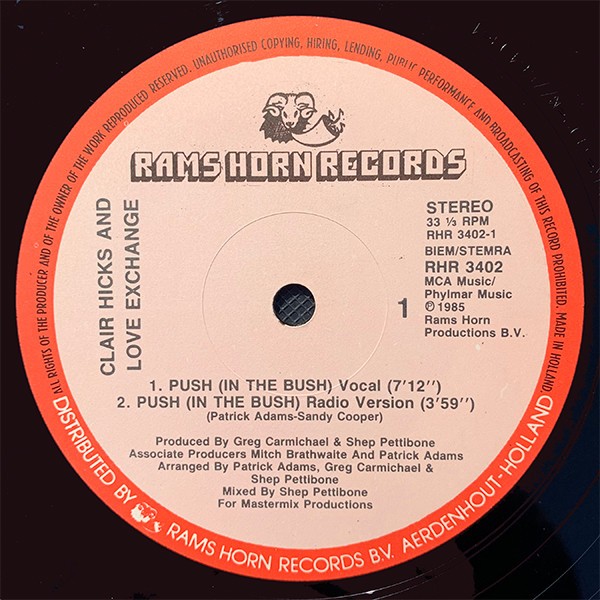 Clair Hicks And Love Exchange - Push (In The Bush) (12") (Very Good Plus (VG+))