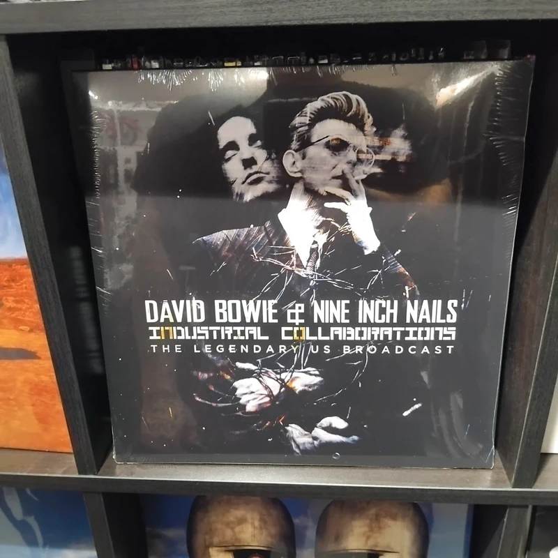 David Bowie and nine inch nails lp