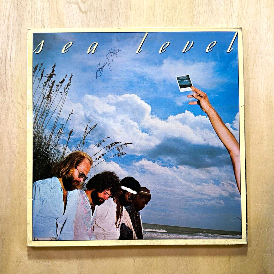 Sea Level – Sea Level CP 0178 Capricorn 12" Rock Black Vinyl LP
