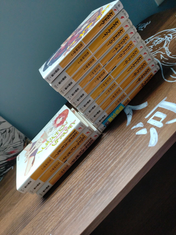 Toradora light novel en Japonais