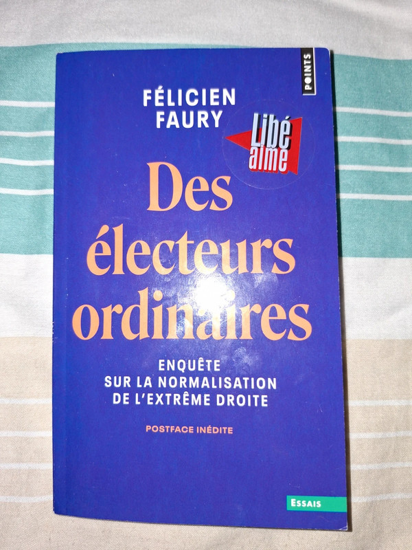 Des électeurs ordinaires- Félicien Faury