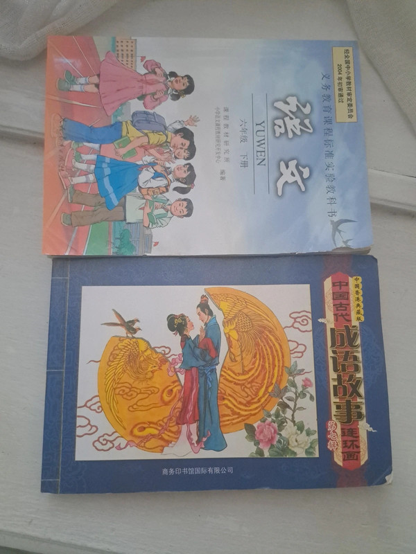 2 libri illustrati in cinese