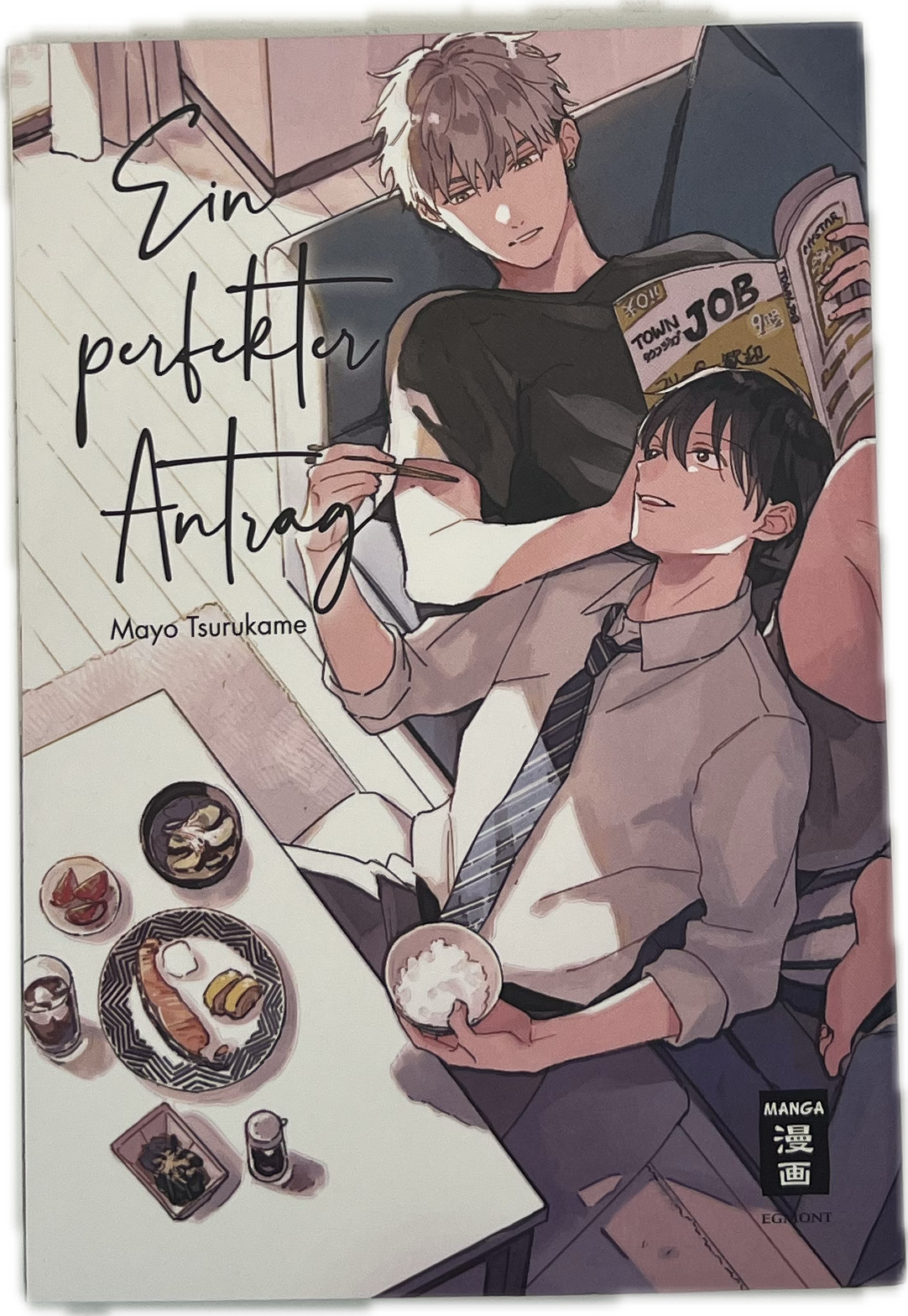 Una richiesta perfetta manga tedesco