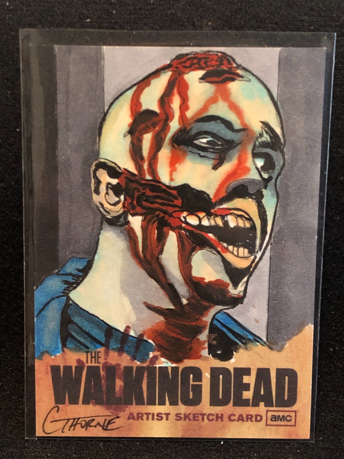 2011 Cryptozoic The Walking Dead Season 1 Chris Thorne 1/1 Sketch Card