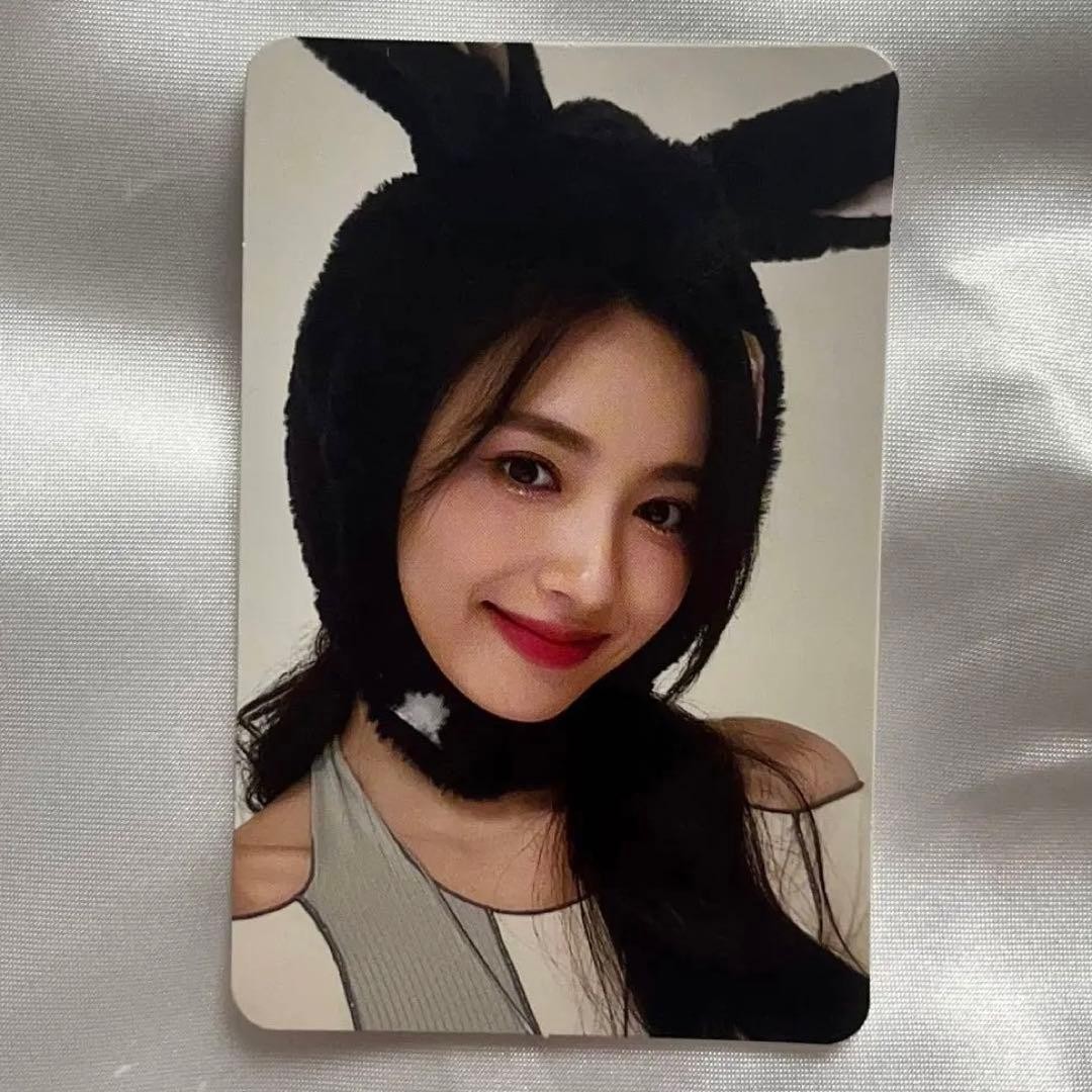 Cartolina fotografica Cherry Bullet Jiwon coniglio Cina
