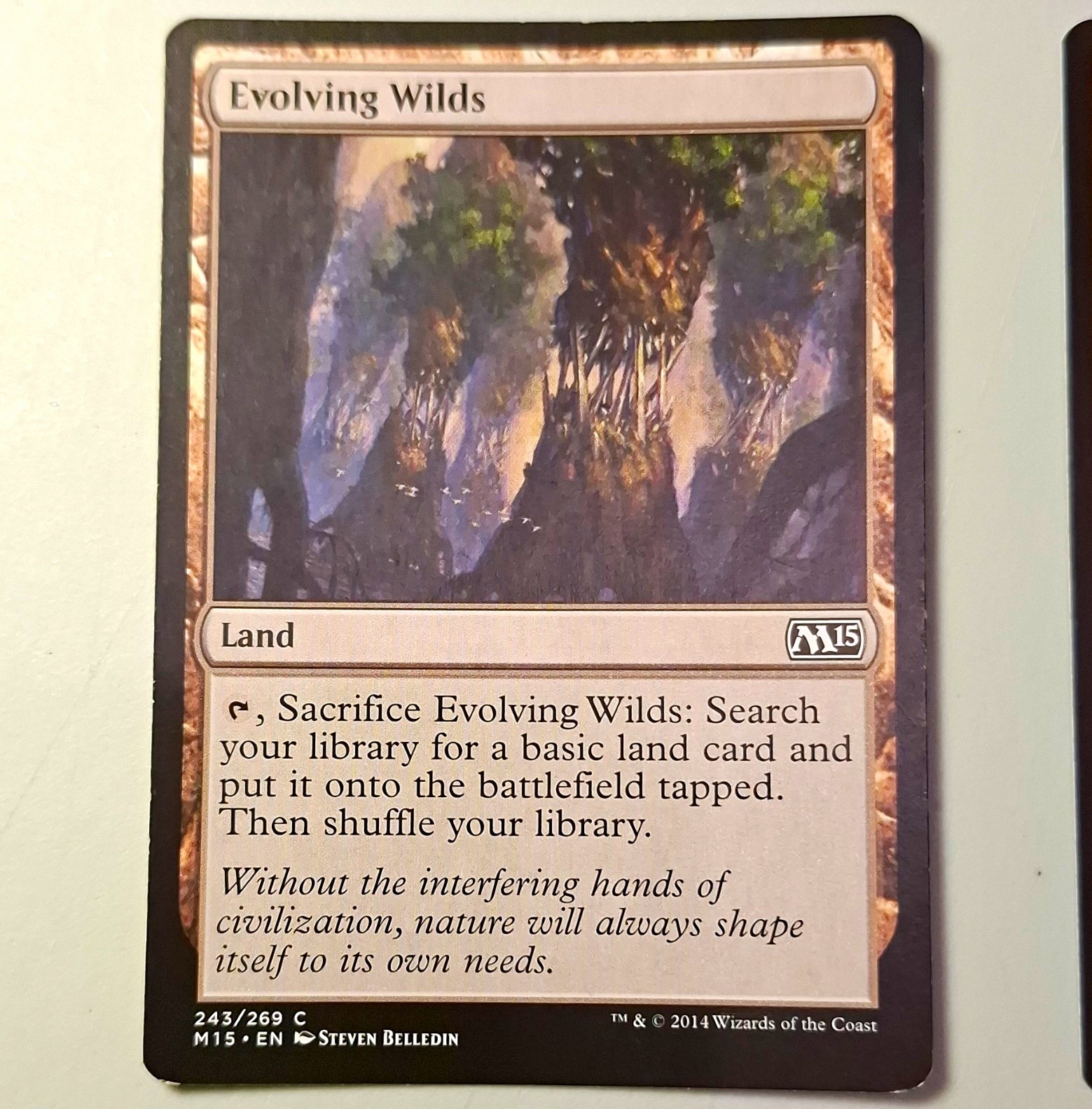 Wizards of the Coast MTG Magic 2015 M15 Land Lot 4 Evolving Wilds x2 Island