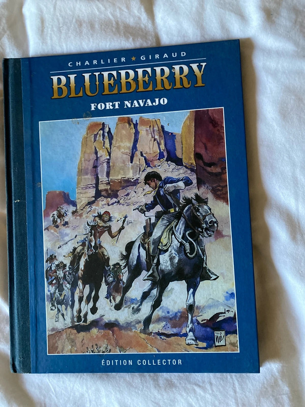 Blueberry Fort Navajo