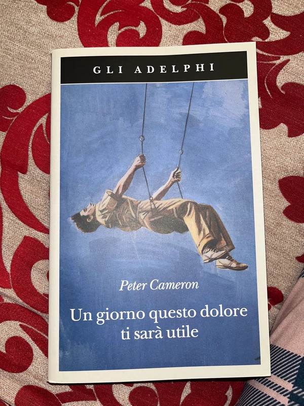 Un giorno questo dolore ti sarà utile - Peter Cameron