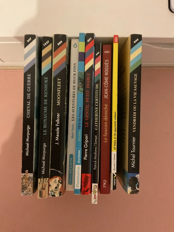 Lot de 10 livres de collège