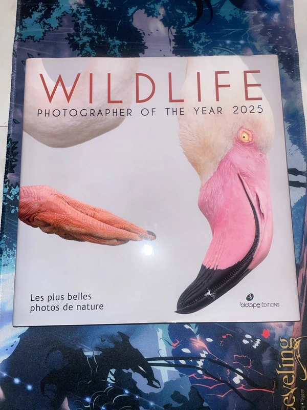 Livre Wildlife Photografer of the year 2025 Editions Biotope