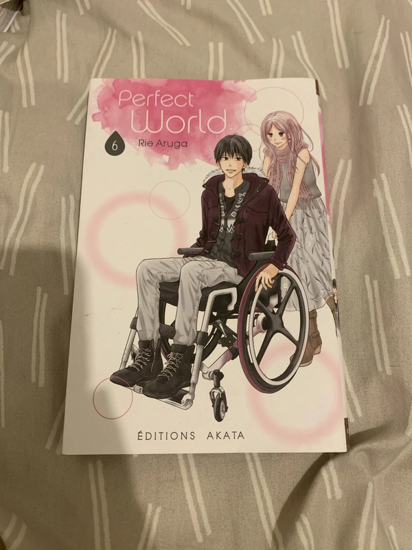 Manga perfect world