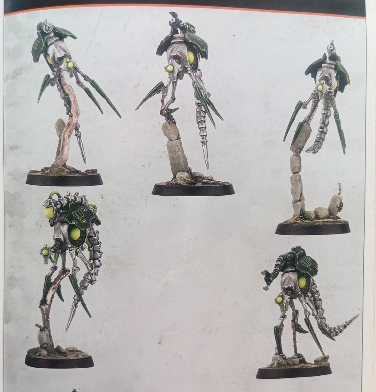 Macrocyte warriors ( membre kill team canoptek circle )