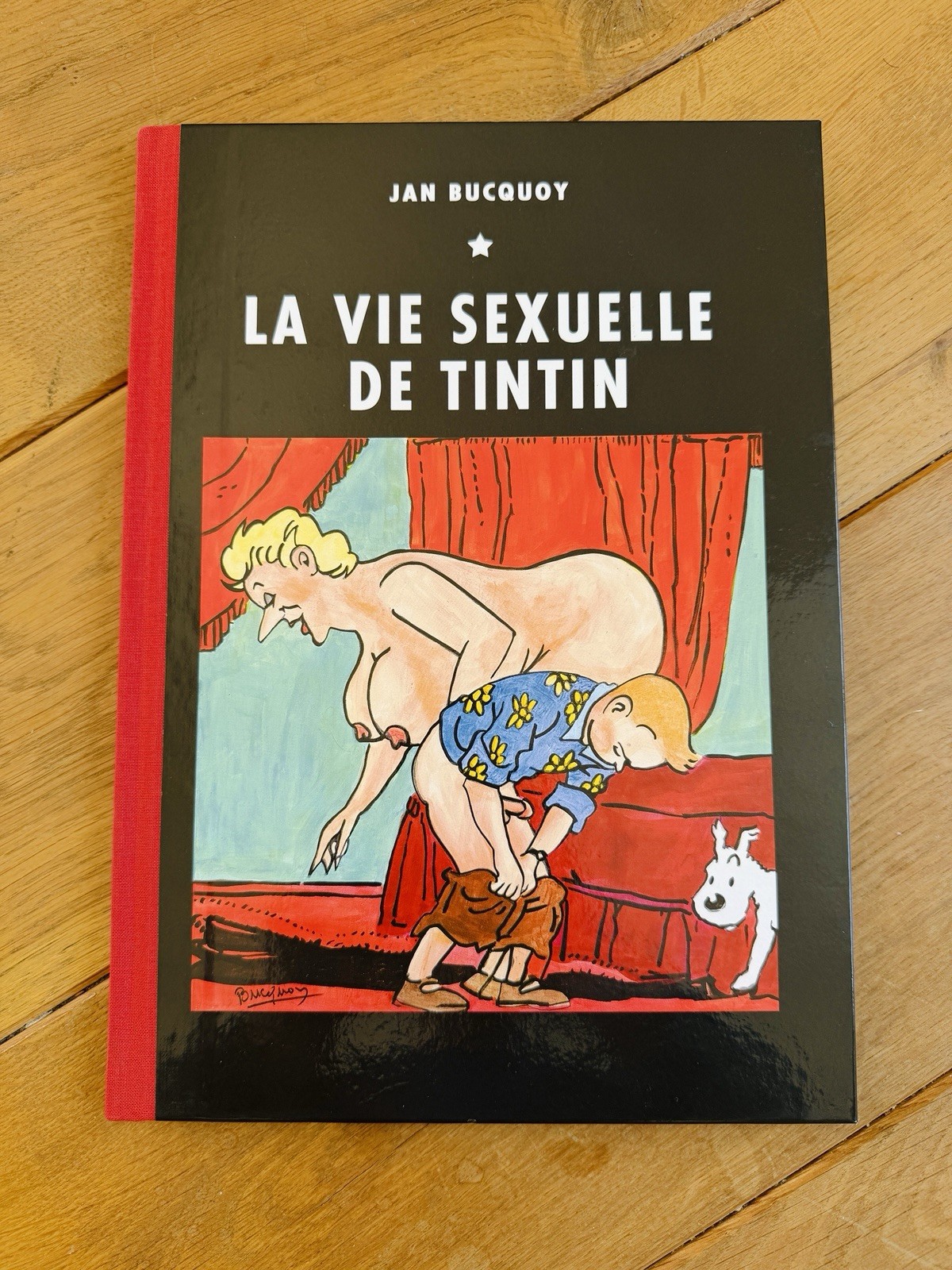Tintin, Épreuve D’Artiste, La vie Sexuelle de TinTin, Jan Bucquoy, E/A Signée 