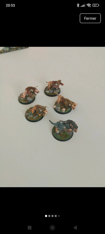 Chiens du chaos Warhammer battle